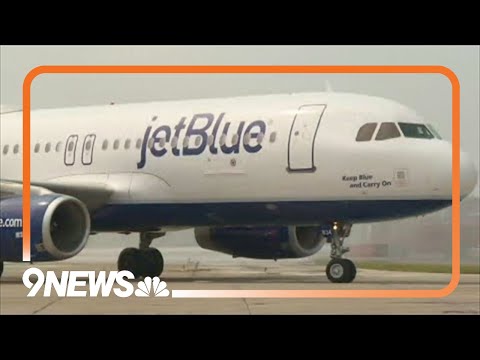 Spirit Airlines Class Action Lawsuit and the American Jury System