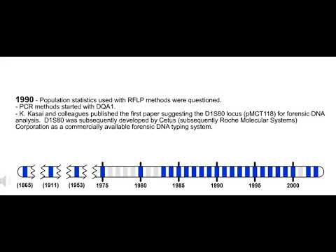 DNA Tests and Their Role in the American Legal System