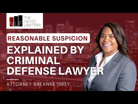 Reasonable Suspicion in U.S. Law and the Jury's Role