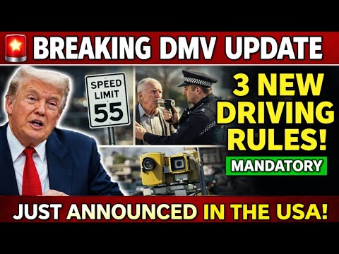 DMV Impound Procedures and Legal Rights in the U.S.